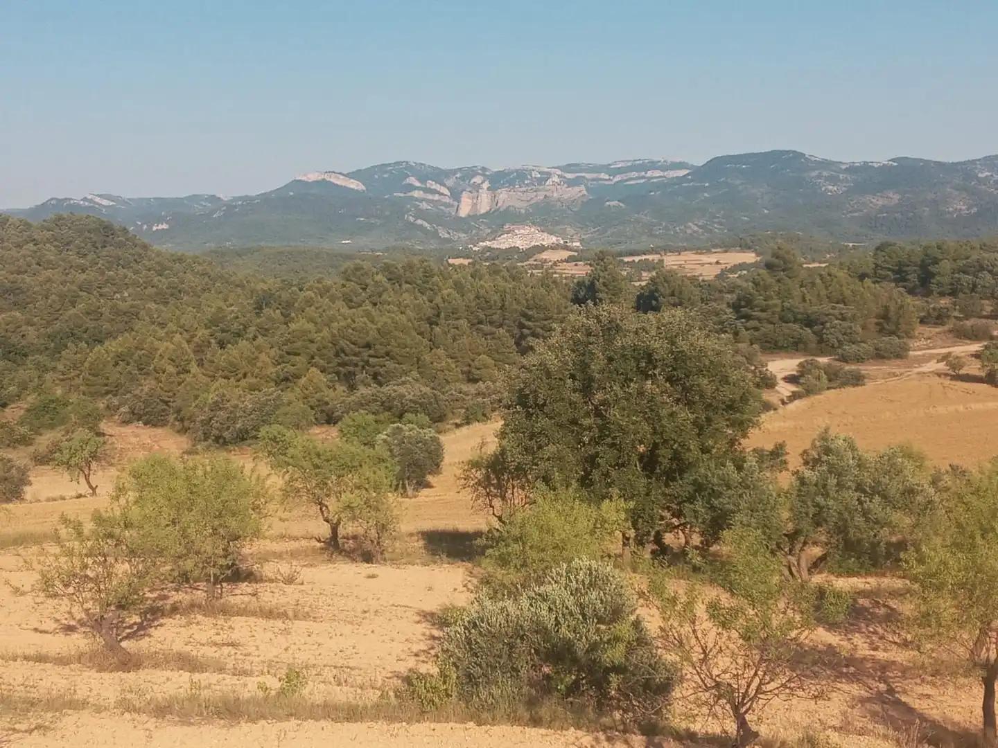 Finca en Venta en Monroyo