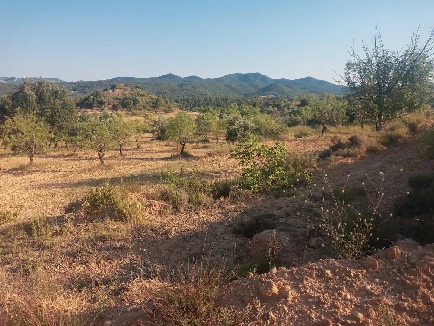 Finca en Venta en Monroyo