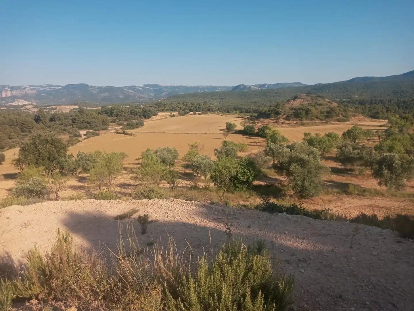 Finca en Venta en Monroyo