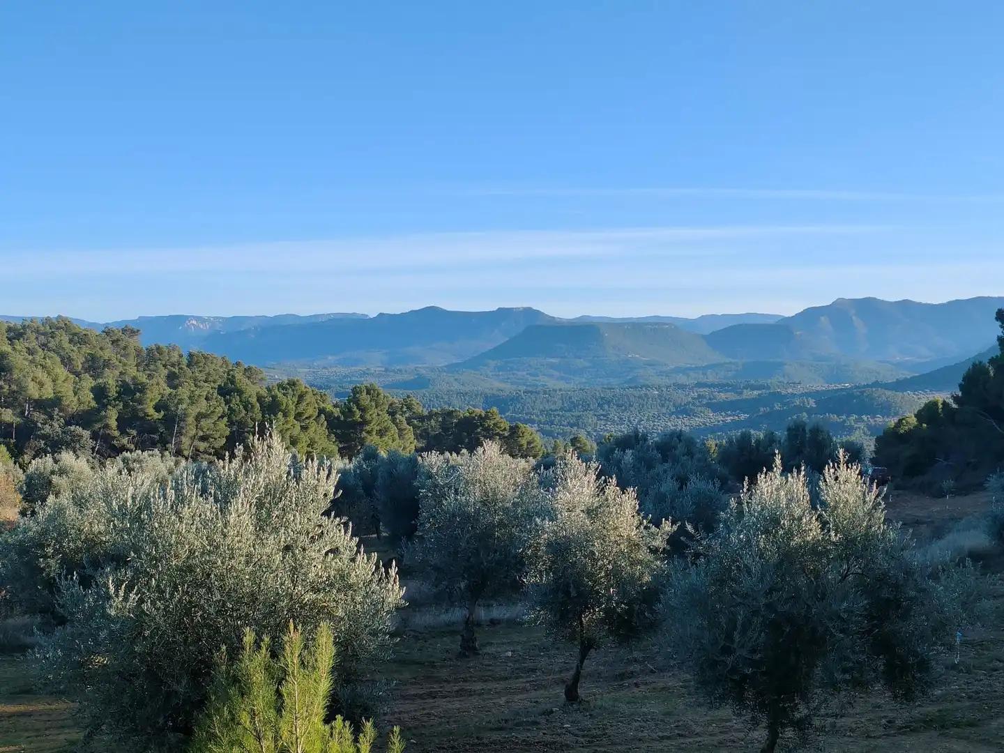 Finca en Venta en La Fresneda