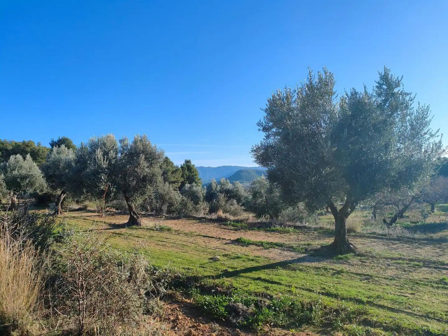 Finca en Venta en La Fresneda