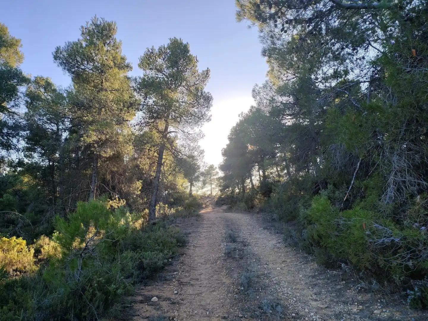 Finca en Venta en La Fresneda
