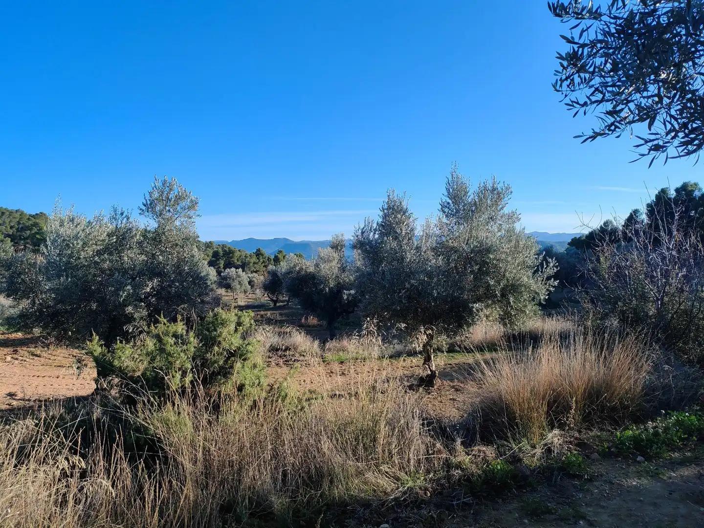 Finca en Venta en La Fresneda