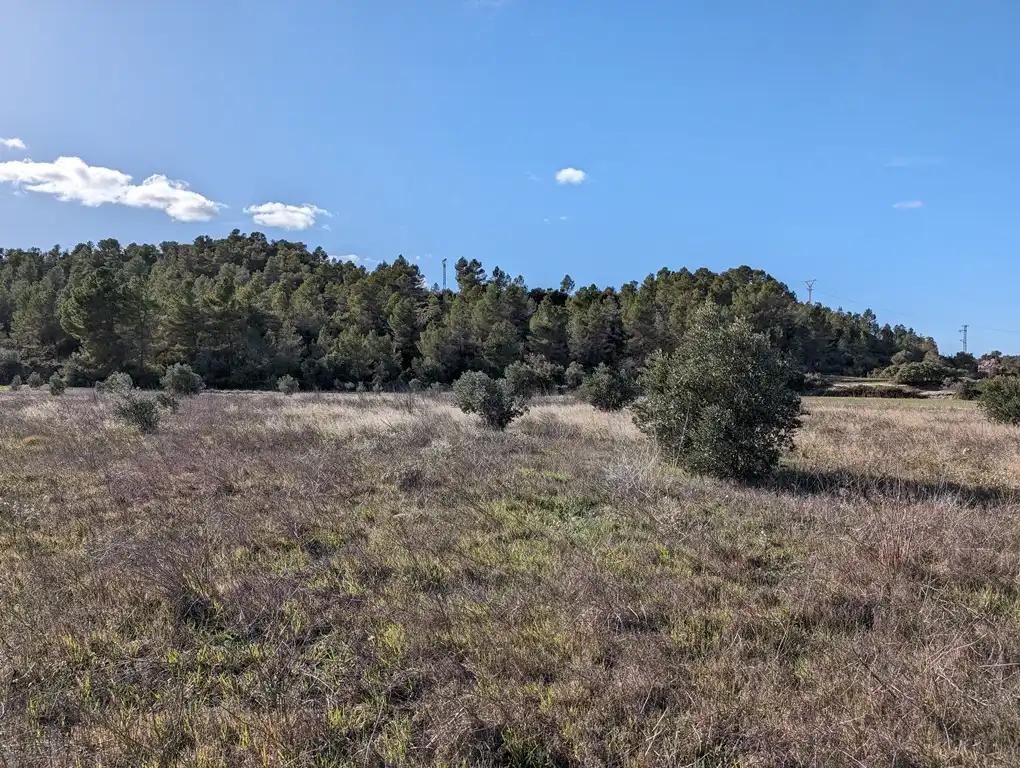 Finca en Venta en Arens de Lledó