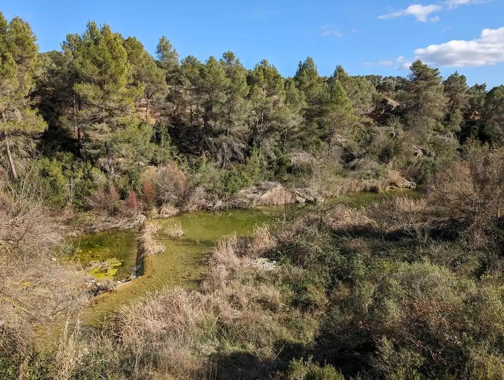 Finca en Venta en Arens de Lledó