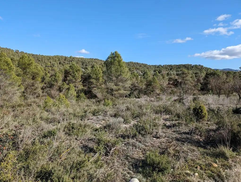Finca en Venta en Arens de Lledó