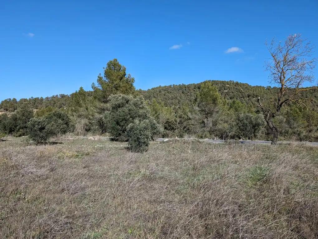 Finca en Venta en Arens de Lledó