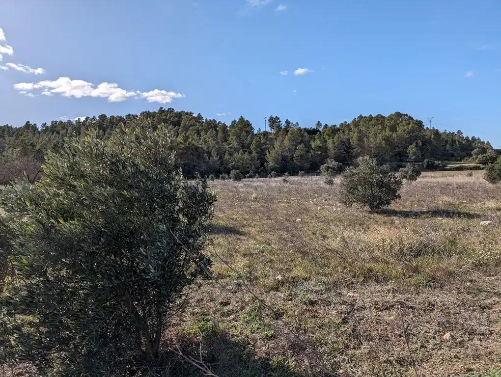 Finca en Venta en Arens de Lledó
