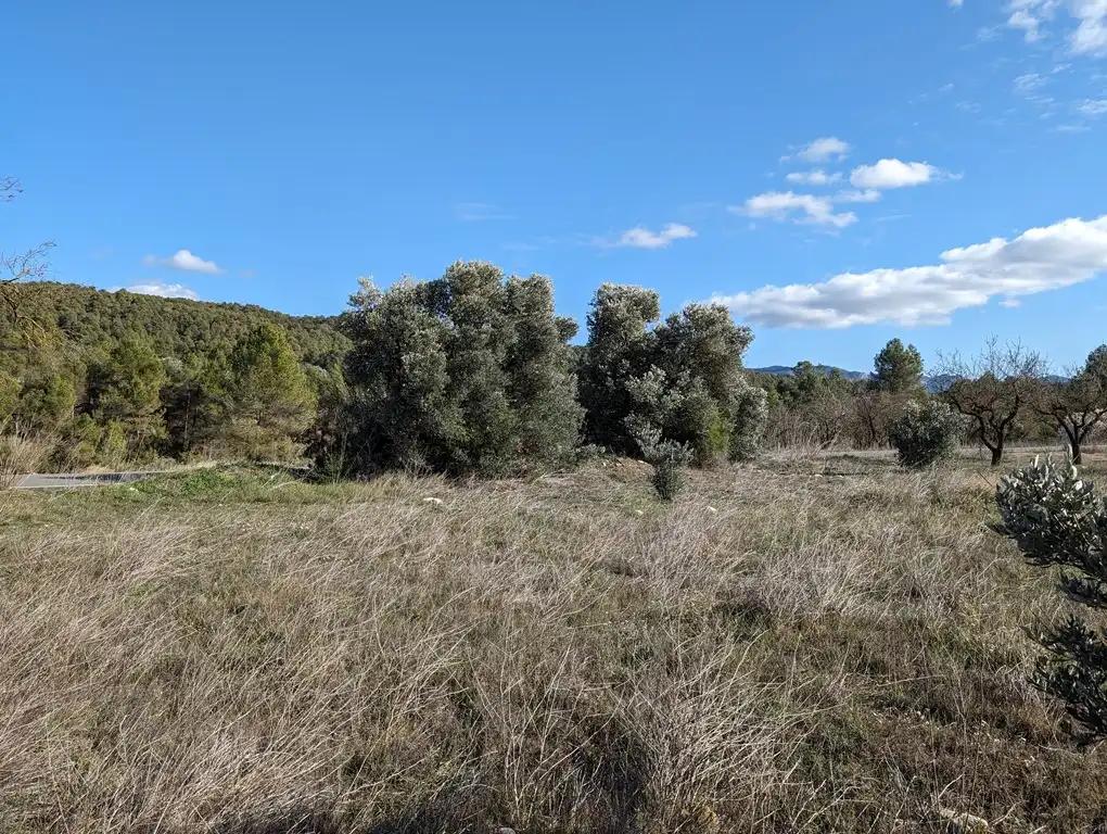 Finca en Venta en Arens de Lledó