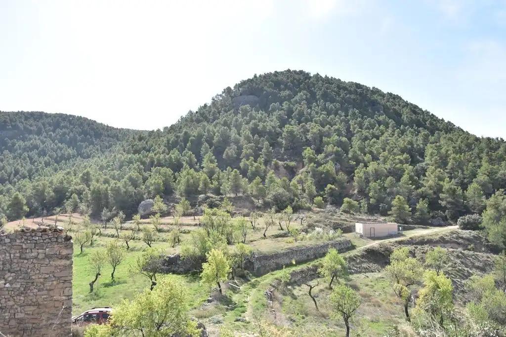 Finca en Venta en Fuentespalda