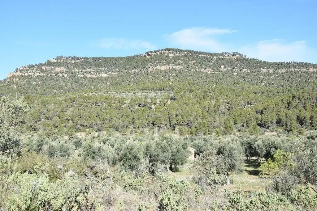 Finca en Venta en Fuentespalda