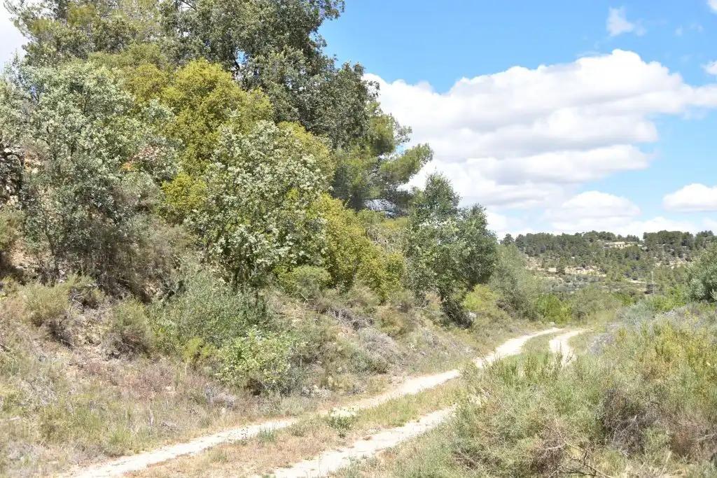 Finca en Venta en Arens de Lledó
