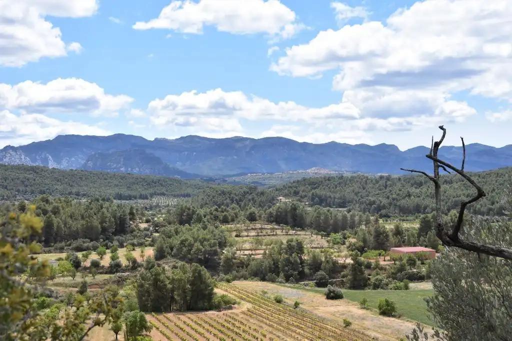 Finca en Venta en Arens de Lledó