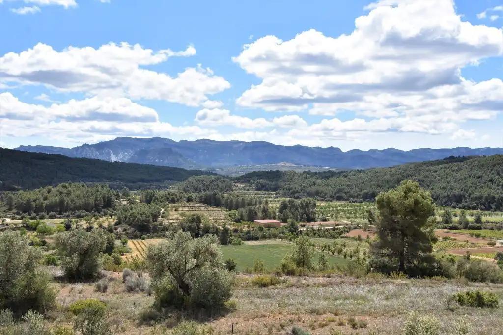 Finca en Venta en Arens de Lledó