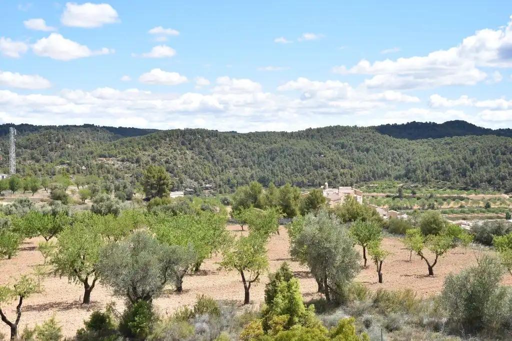 Finca en Venta en Arens de Lledó