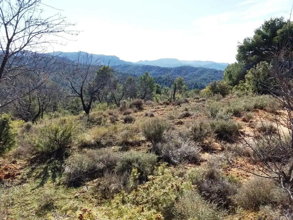 Finca en Venta en Valderrobres