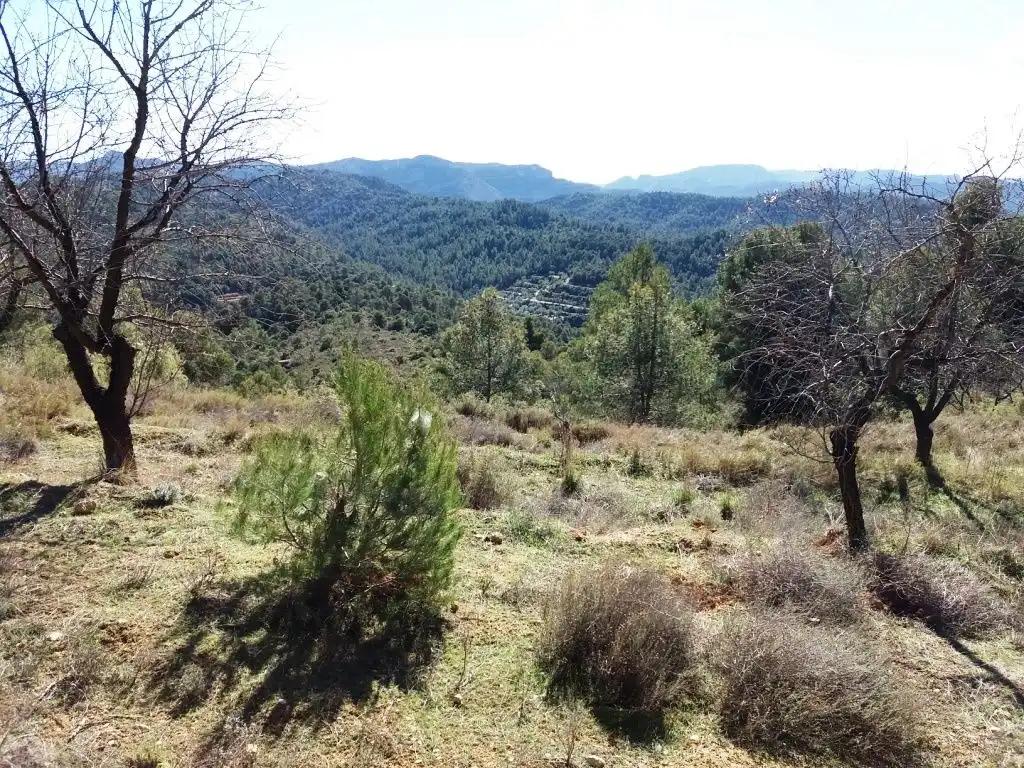 Finca en Venta en Valderrobres