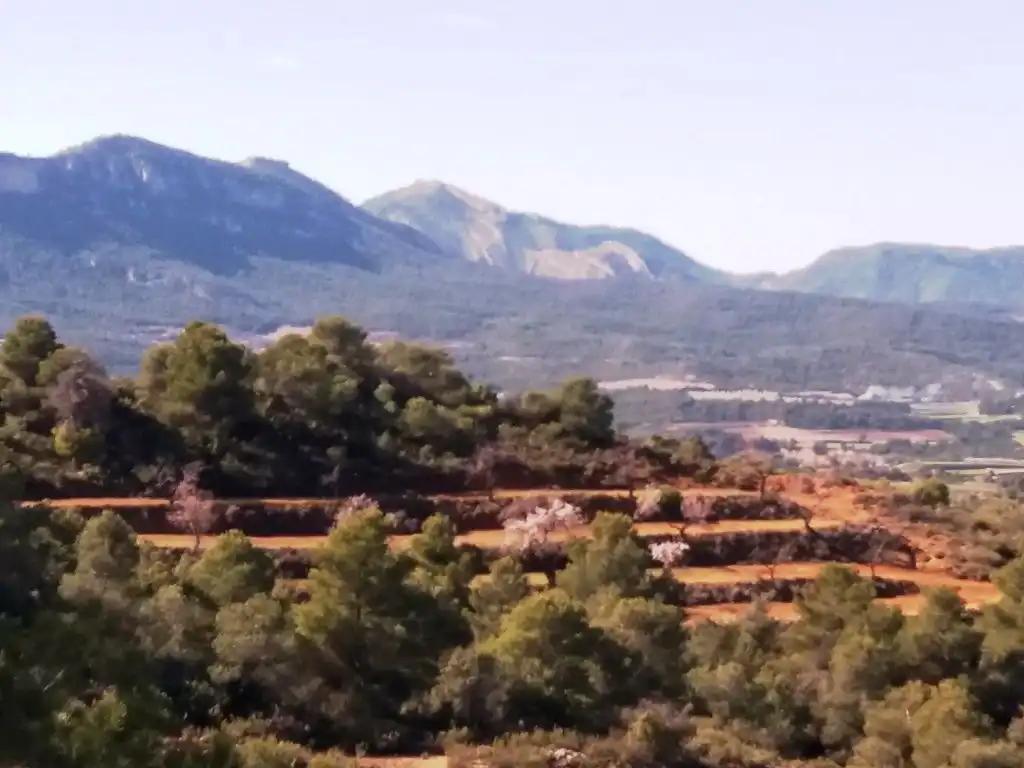 Finca en Venta en Valderrobres
