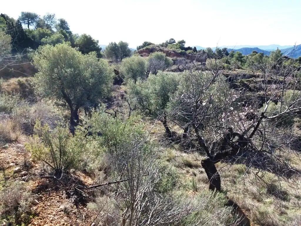 Finca en Venta en Valderrobres