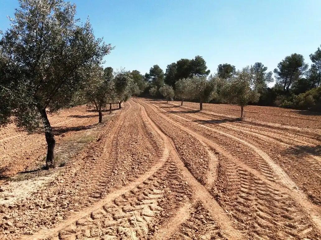 Finca en Venta en Cretas