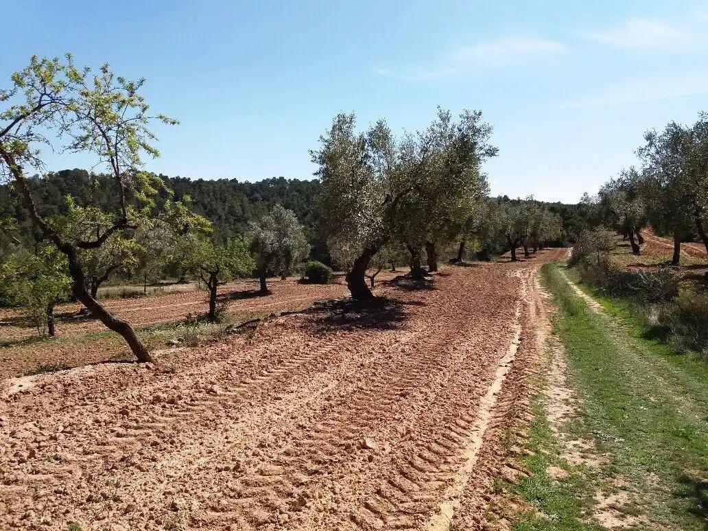 Finca en Venta en Cretas