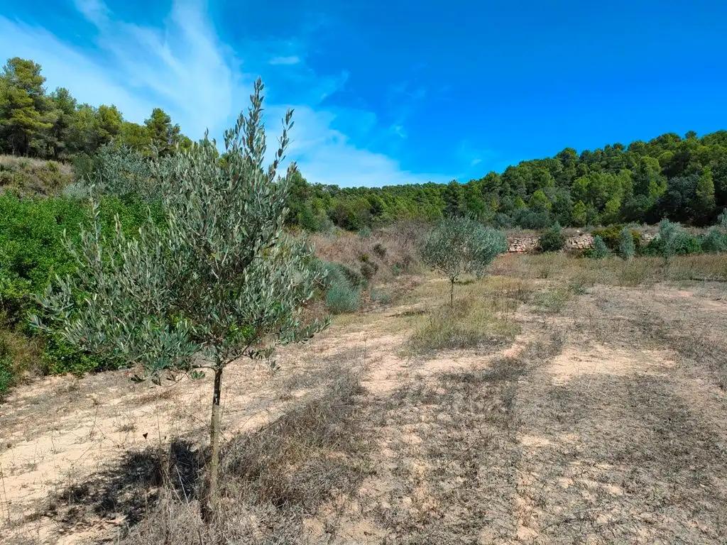 Finca en Venta en Horta de Sant Joan