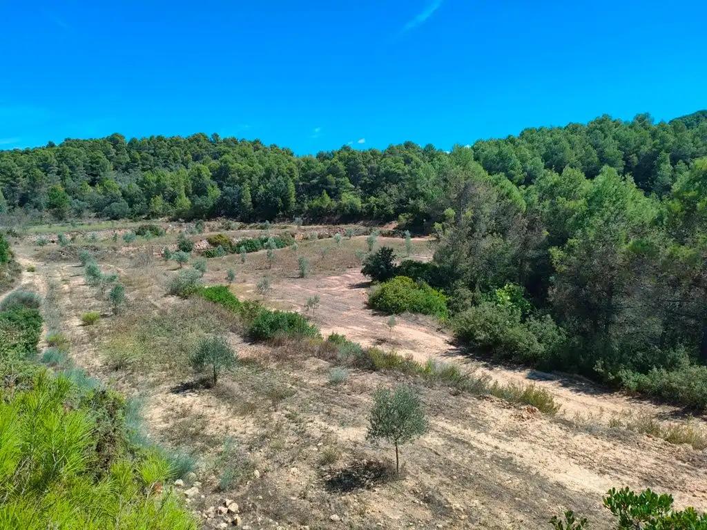 Finca en Venta en Horta de Sant Joan