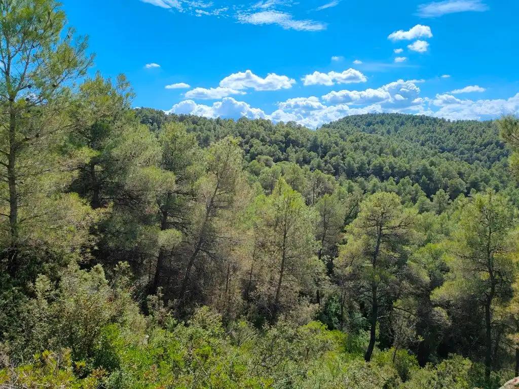 Finca en Venta en Horta de Sant Joan