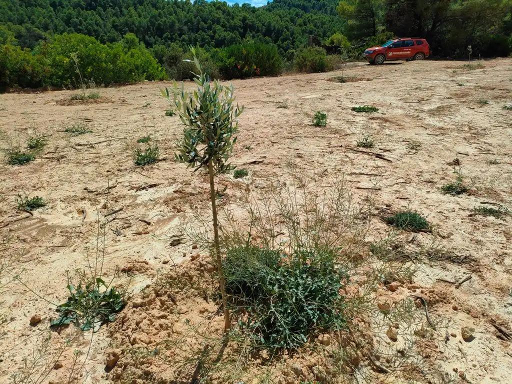 Finca en Venta en Horta de Sant Joan