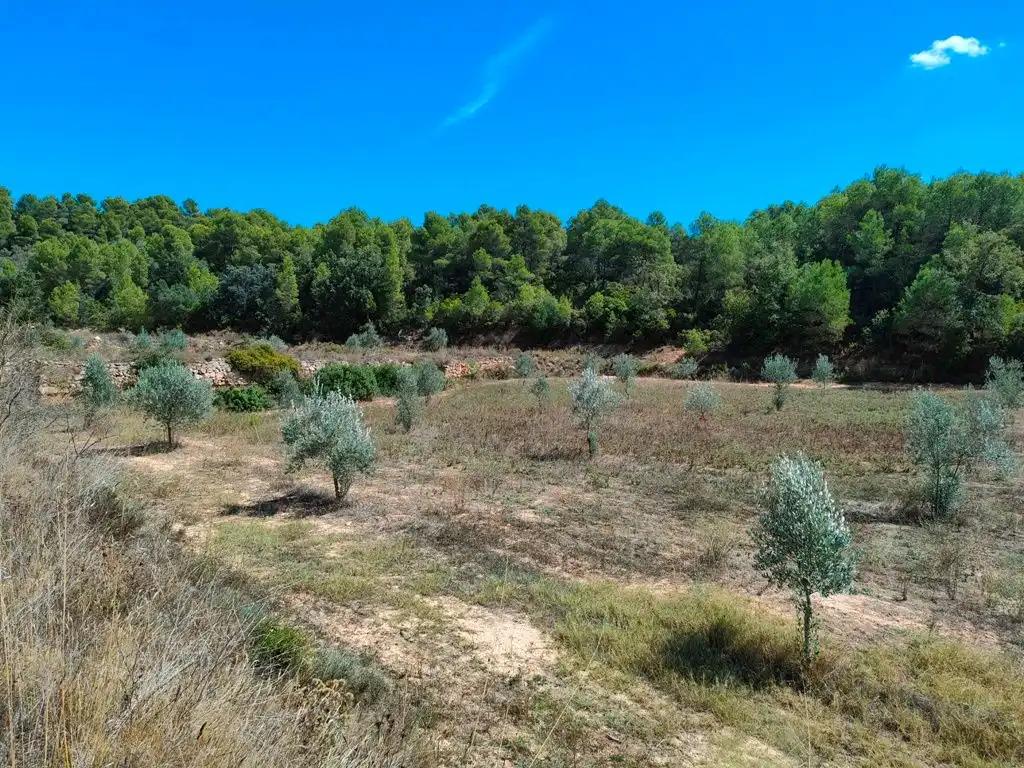 Finca en Venta en Horta de Sant Joan