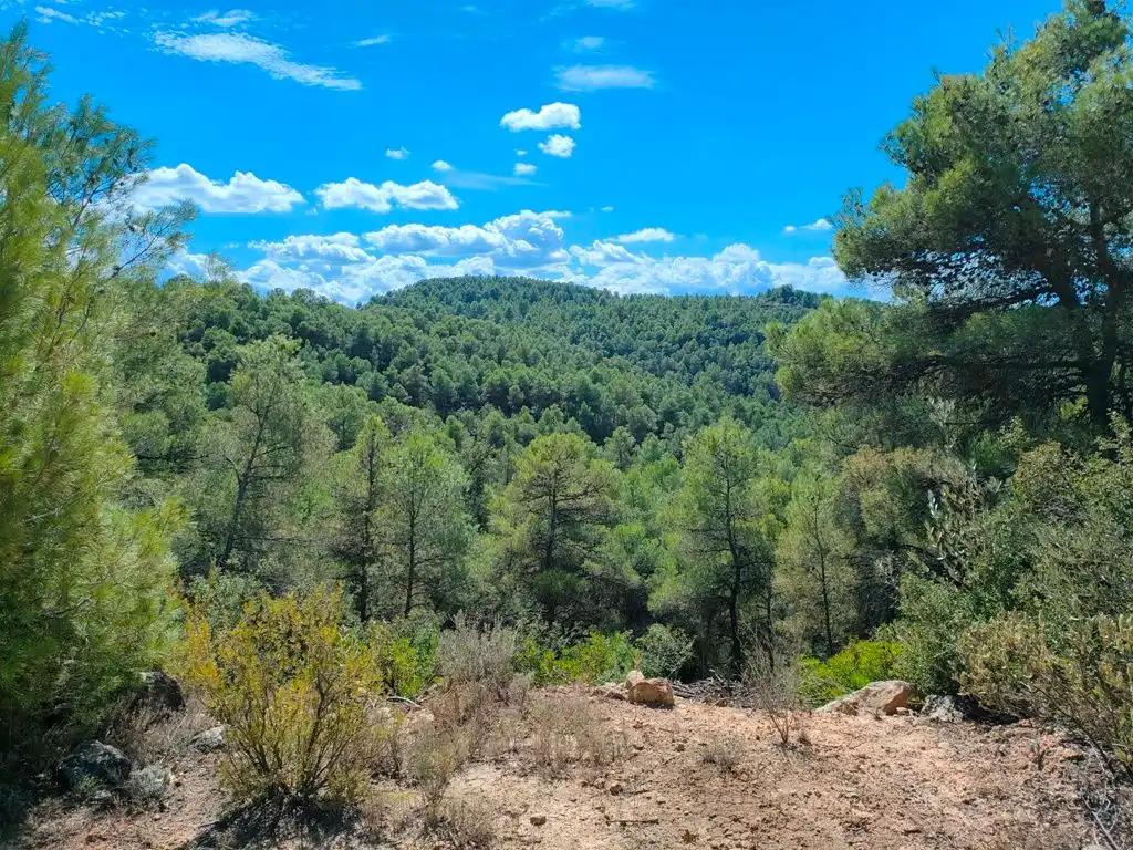 Finca en Venta en Horta de Sant Joan