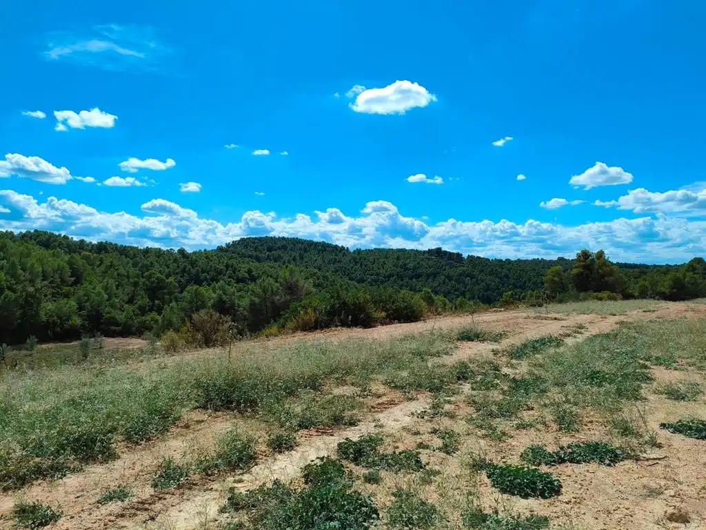 Finca en Venta en Horta de Sant Joan