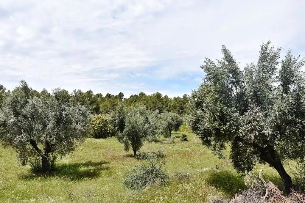 Finca en Venta en Arens de Lledó