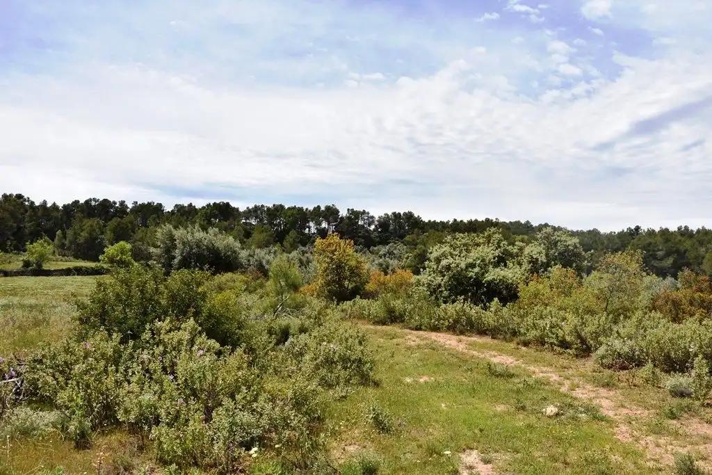 Finca en Venta en Arens de Lledó