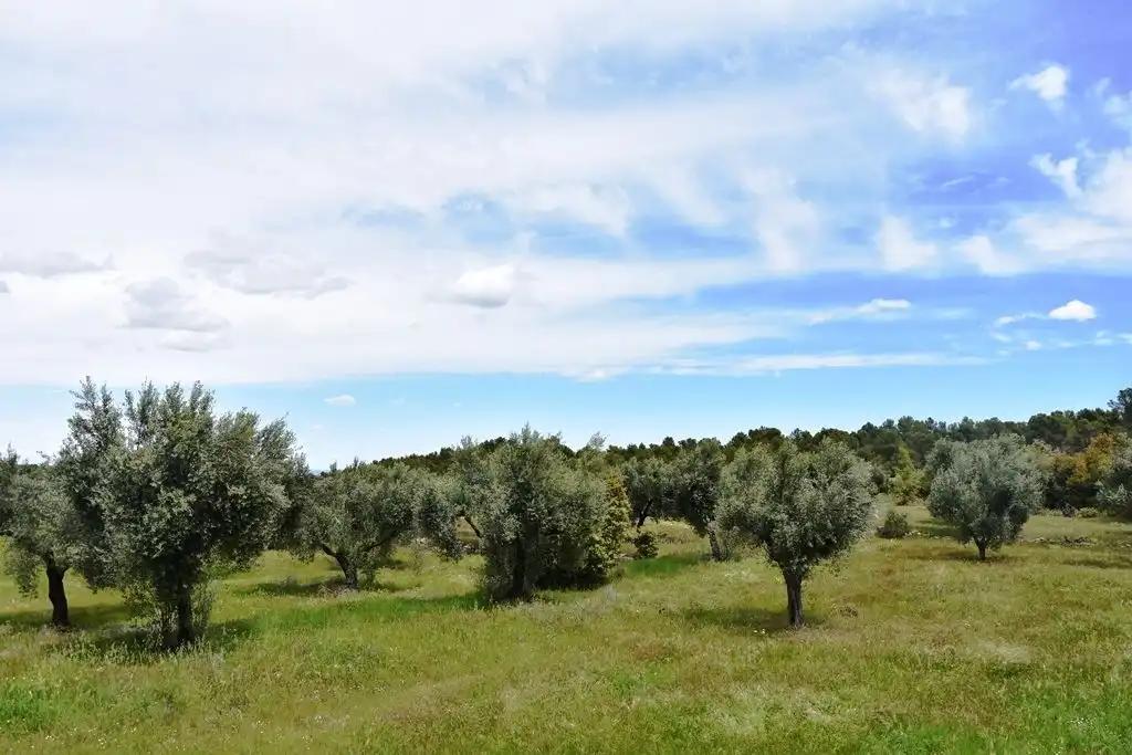 Finca en Venta en Arens de Lledó