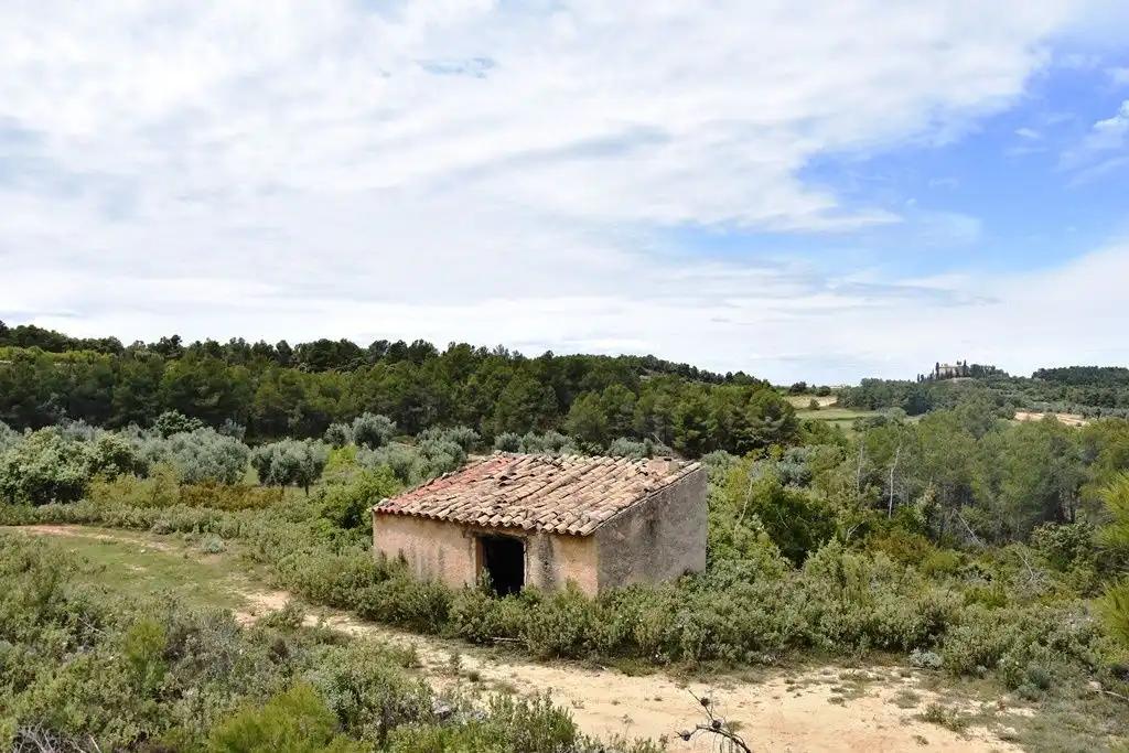 Finca en Venta en Arens de Lledó