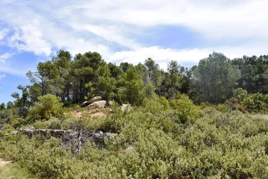 Finca en Venta en Arens de Lledó