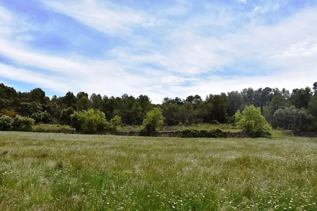 Finca en Venta en Arens de Lledó