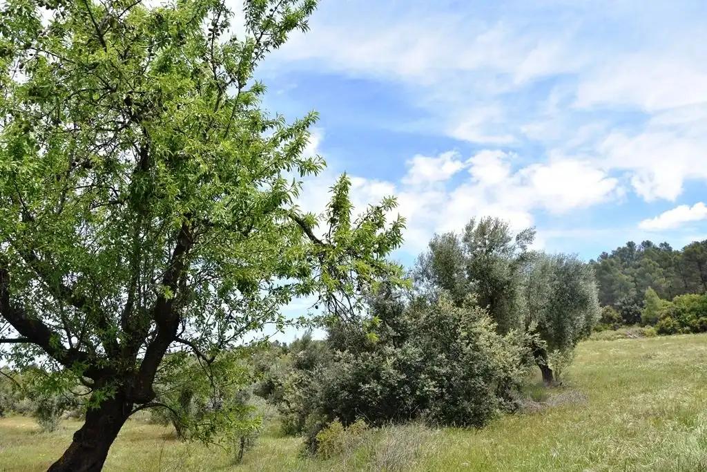 Finca en Venta en Arens de Lledó