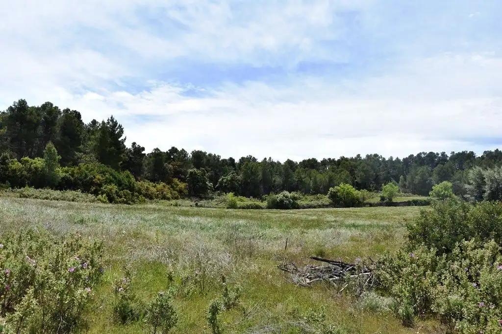 Finca en Venta en Arens de Lledó