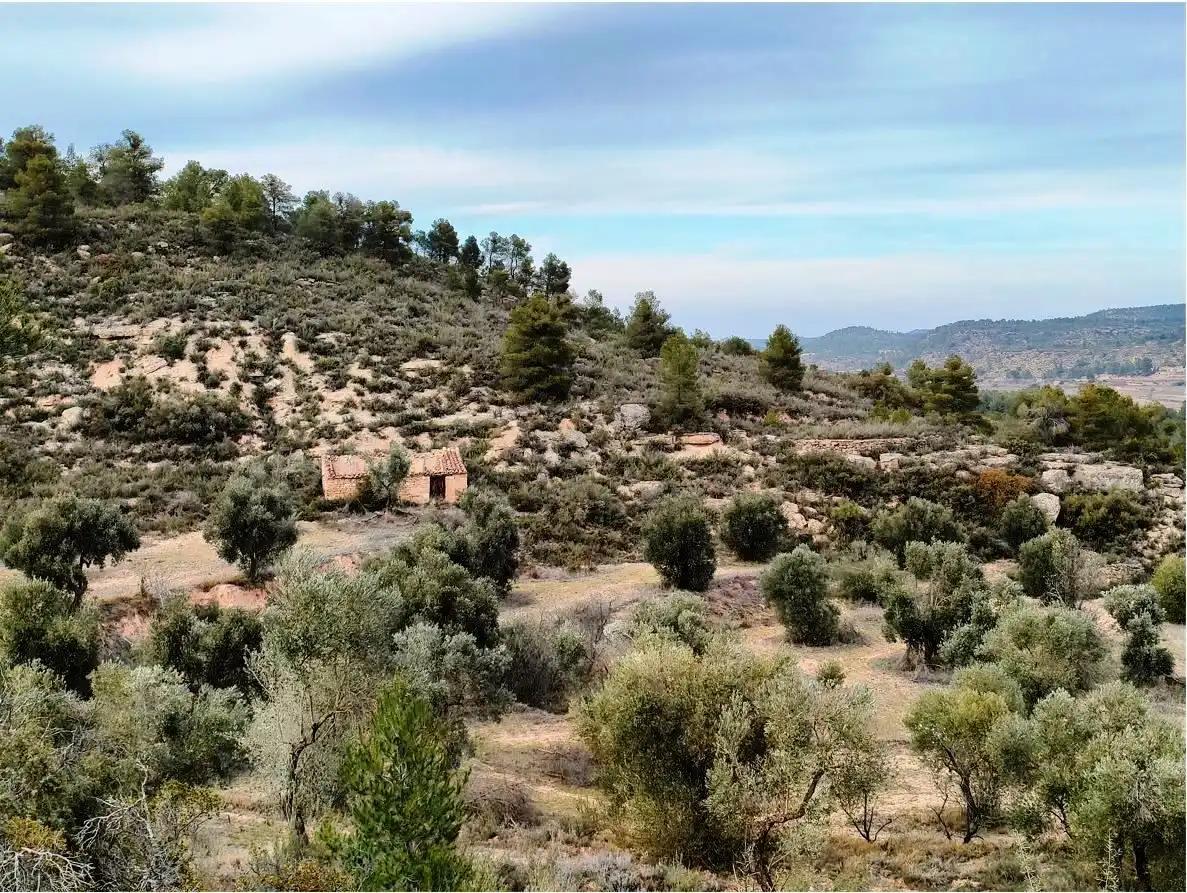 Finca en Venta en Calaceite