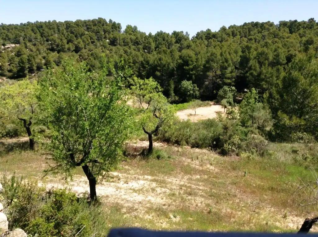 Finca en Venta en Arens de Lledó