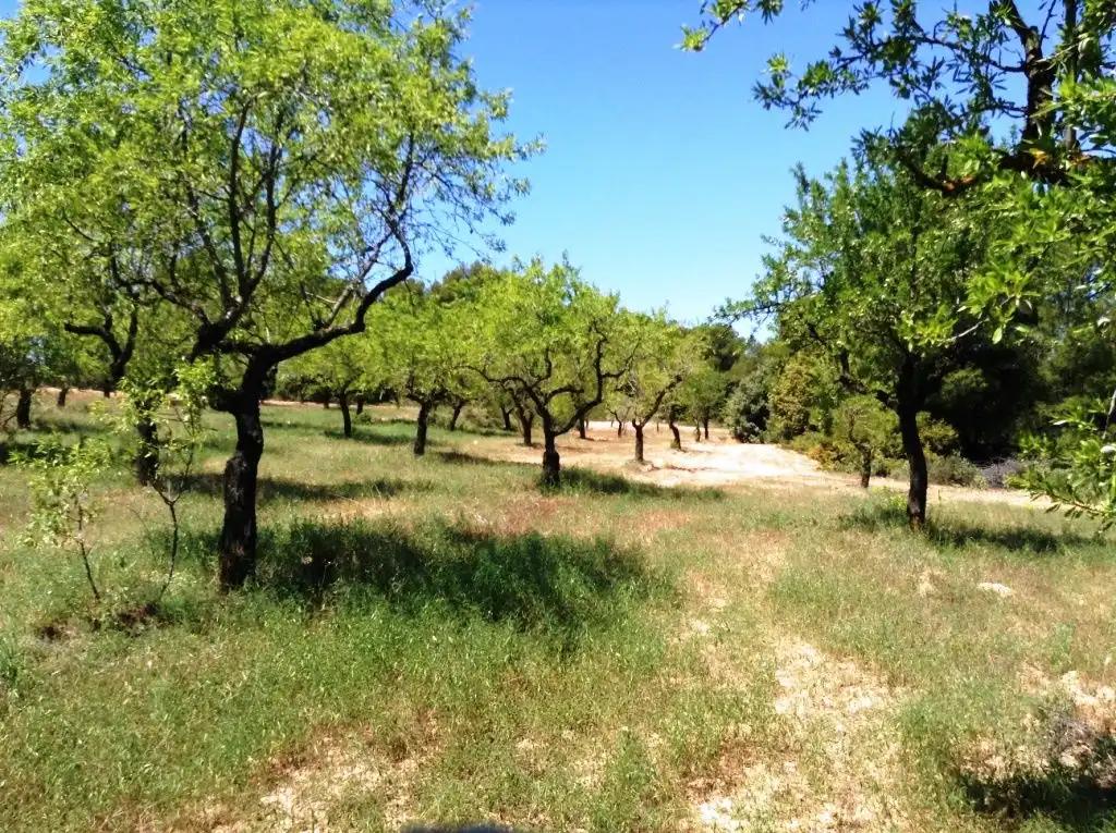Finca en Venta en Arens de Lledó