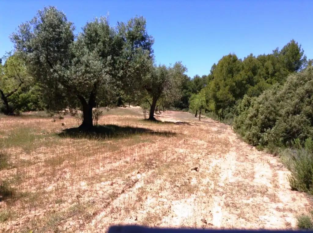 Finca en Venta en Arens de Lledó