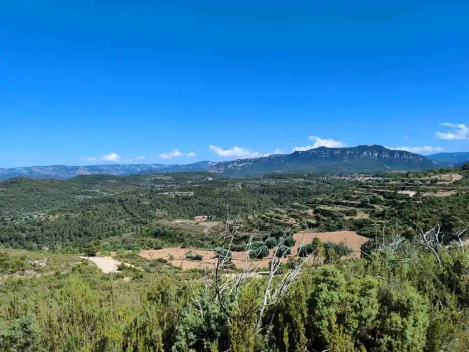Finca en Venta en Valderrobres