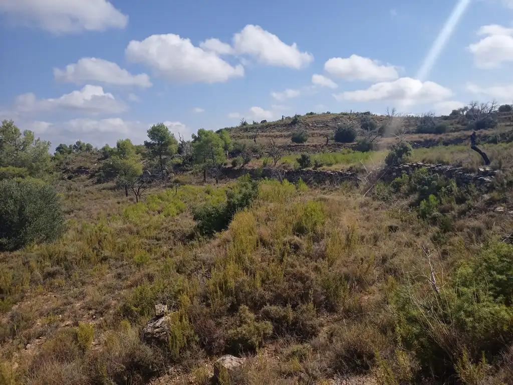 Finca en Venta en Valderrobres