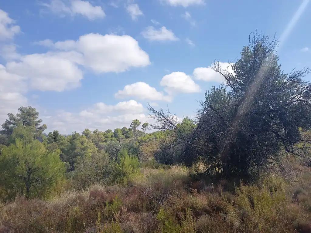 Finca en Venta en Valderrobres