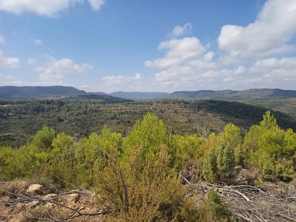 Finca en Venta en Valderrobres