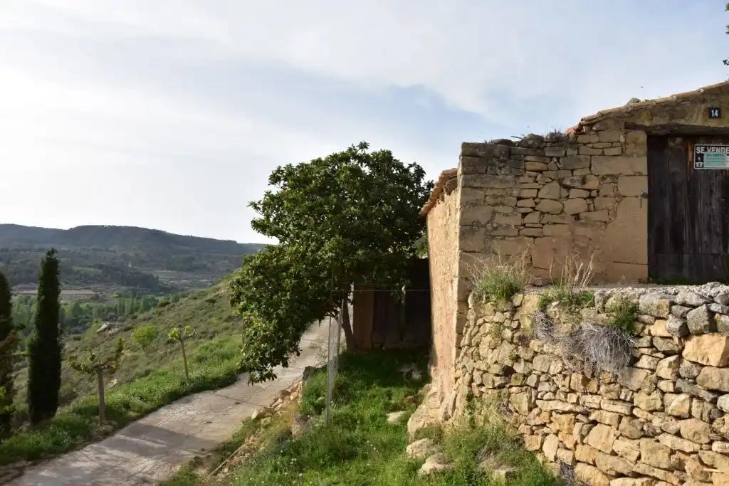 Plot for Sale in Torre del Compte