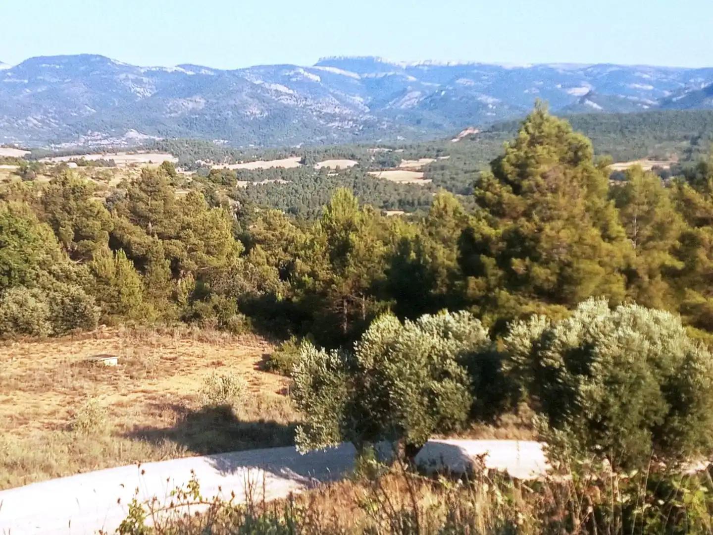 Finca en Venta en Monroyo